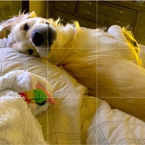 Meet your Posher, Liz